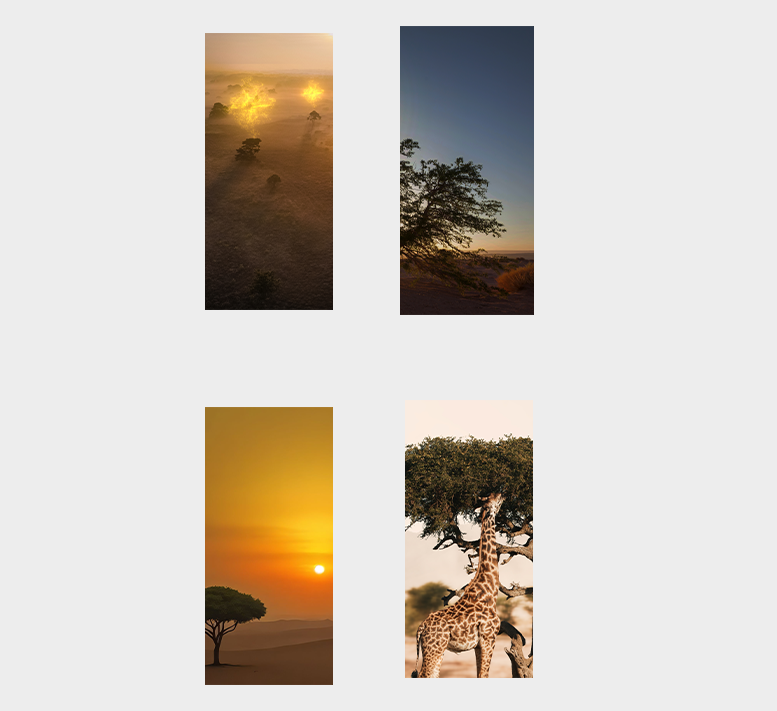 DESERT ACACIA THEME WALLPAPER PACK