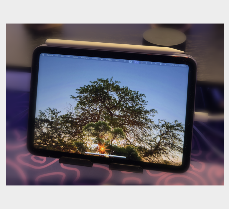 DESERT ACACIA THEME WALLPAPER PACK